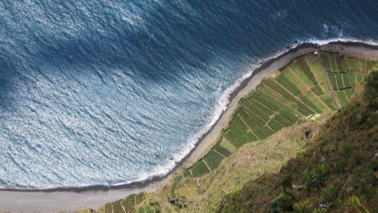 Madeira Free Zone